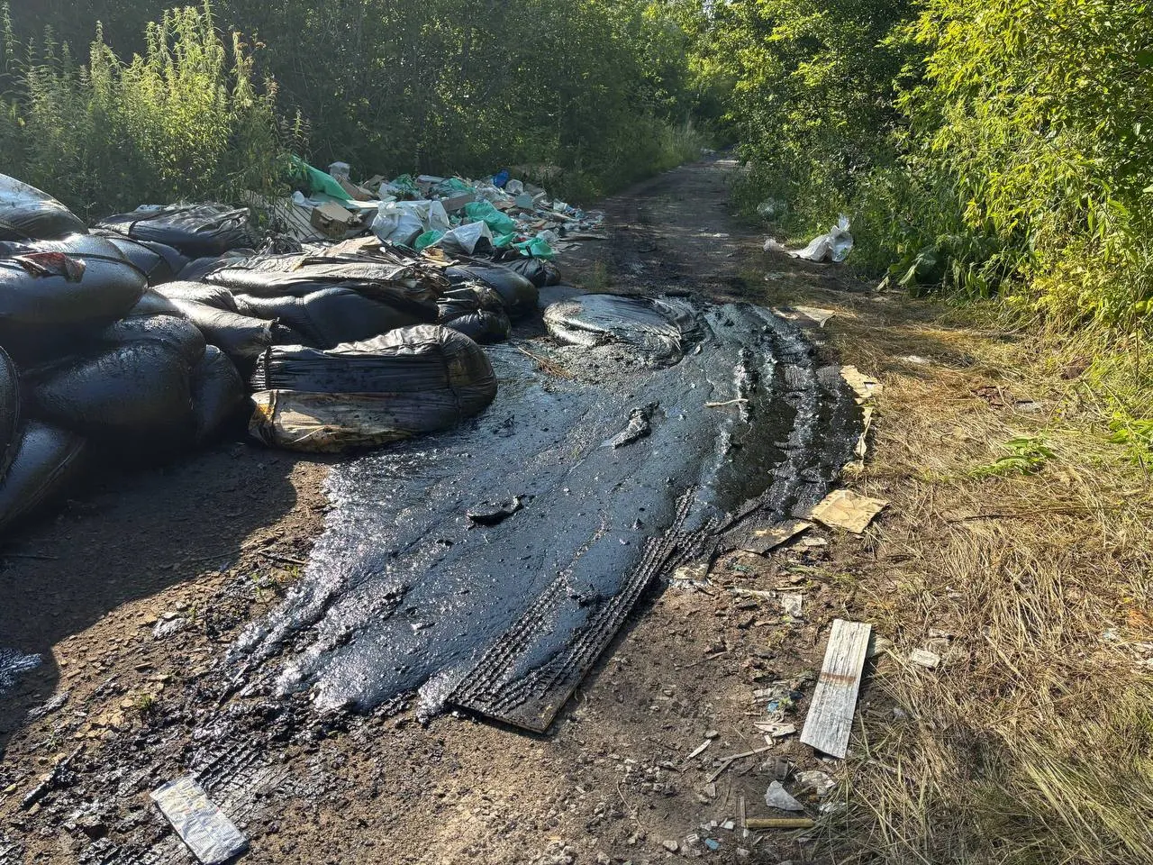 В Ленинском округе у озера Чередового обнаружена незаконная свалка: мешки с битумом, строительные отходы и части свиней. Жители просят проверки и уборки со стороны надзорных органов.