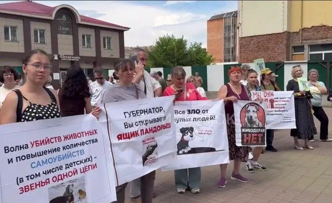 Губернатор внес поправки: критерий для отлова и умерщвления собак уточнён, решение об усыплении передают специальной комиссии, а вступление закона предложили отложить до 1 января 2027 года.