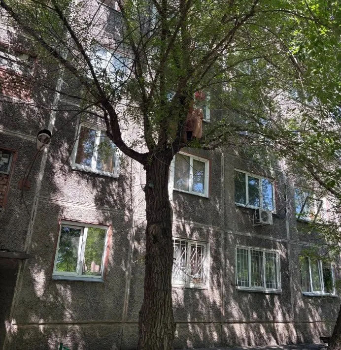 На улице Королёва 38-летний мужчина выпрыгнул из окна четвёртого этажа и застрял в дереве; спасатели сняли его с помощью лестницы и передали медикам, причины происшествия выясняет полиция.