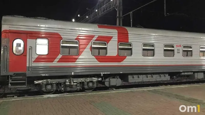 За полгода по Западно-Сибирской железной дороге перевезли почти 16 тысяч животных — от собак и кошек до лемура, карликовых коз и аквариумных рыб.