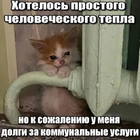 ВС подтвердил, что срок исковой давности в три года препятствует учёту давних задолженностей за капремонт в платёжных документах; решение важно для покупателей вторичного жилья и наследников.