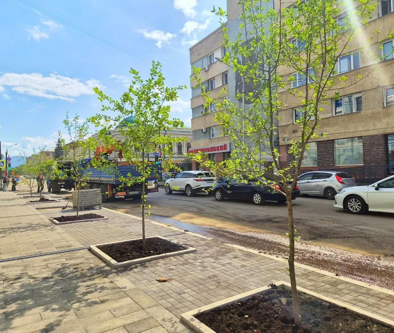 На улицах Диктатуры Пролетариата и Кирова высадили около 60 деревьев и кустарников, но корневые колодцы оказались слишком малы и залиты бетоном — учёные и горожане опасаются за их выживаемость.