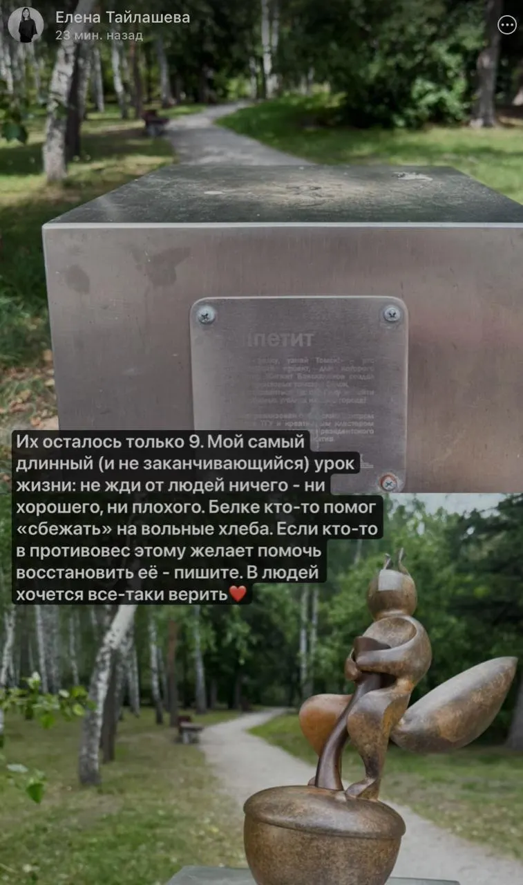 Одна из фигурок проекта «Найди белку, узнай Томск!» — бронзовая белочка «Аппетит» — исчезла из Лагерного сада. Автор проекта отмечает, что скульптуру, вероятно, выкрутили; восстановить её будет сложно, заявят в полицию.