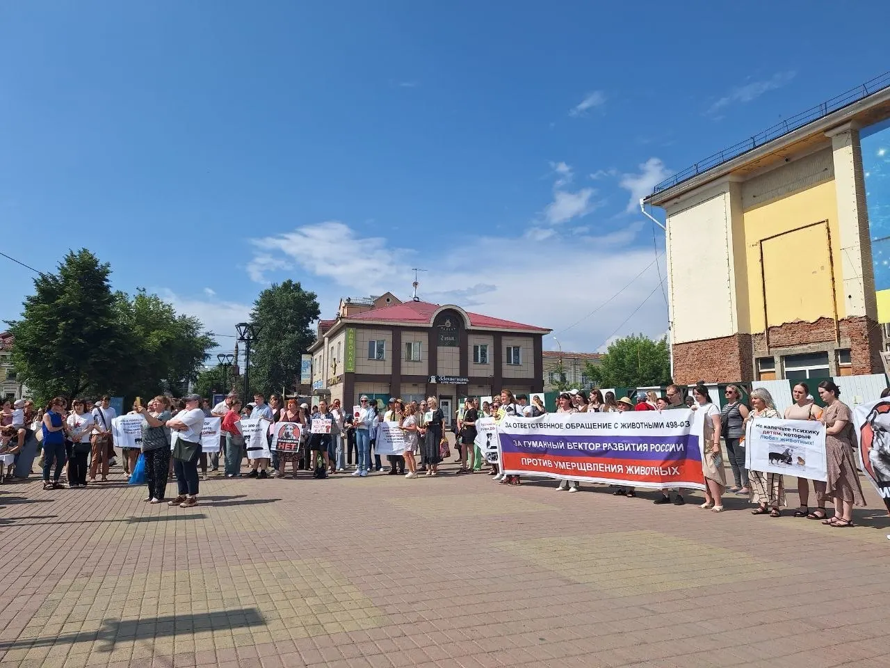 Активисты собрали подписи с требованием не вводить закон, который позволит убивать отловленных собак во время режима экстраординарной ситуации; документ уже подписан и вступит в силу 1 октября.
