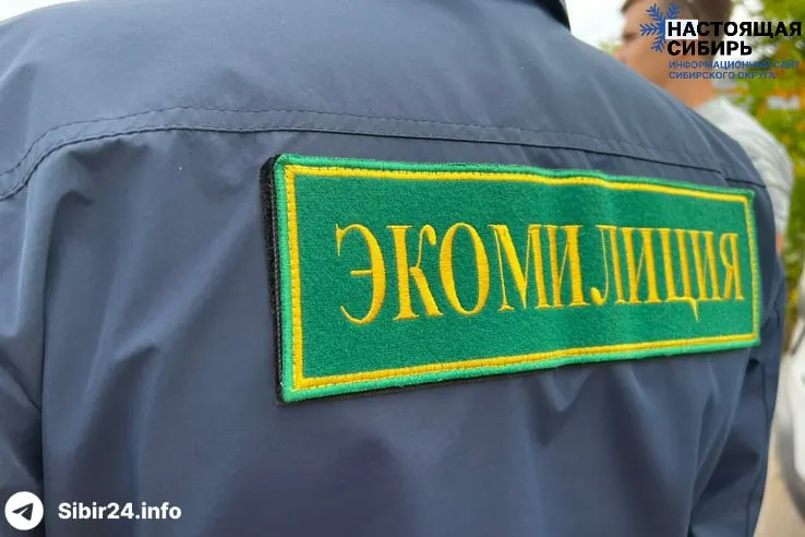 Ректор НГАСУ предложил создать в регионе специализированный правоохранительный орган для контроля за охраной окружающей среды. Ранее подобное подразделение работало в 2008–2010 годах и было расформировано после проверки.