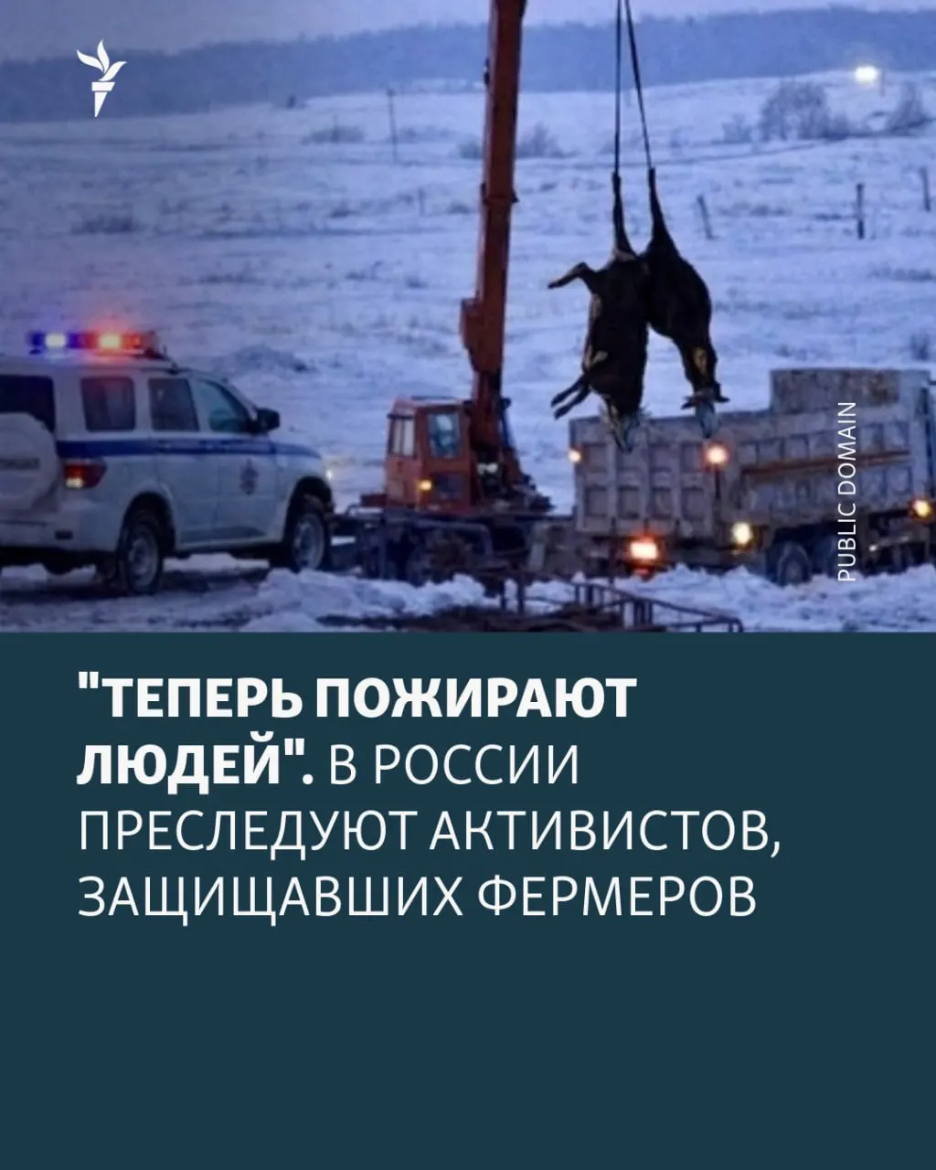 Арестована 58-летняя Лариса Михайлова по делу о призывах к терроризму; близкие уверены, что причина — защита местных фермеров и массовые изъятия скота.