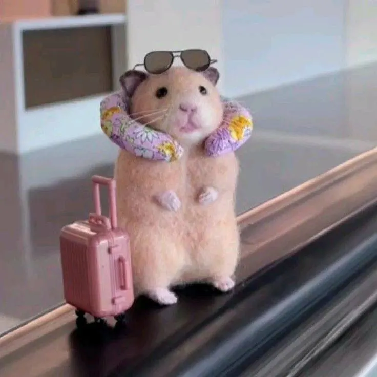 С 1 сентября авиакомпания S7 Airlines переводит рейс Иркутск — Бангкок на ежедневный график; добавится вылет по вторникам. Вылеты: Иркутск — 05:00, Бангкок — 11:25. С 26 октября частота возрастёт до 15 рейсов в неделю: по будням и выходным — два вылета в день (05:00 и 10:05), по пятницам — три, включая вечерний рейс в 21:05.