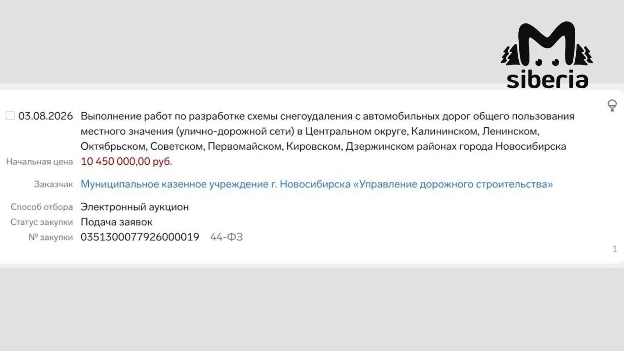 Город планирует создать карту уборки снега для подсказки коммунальным службам, но в городе остаются проблемы с техникой и полигоном.