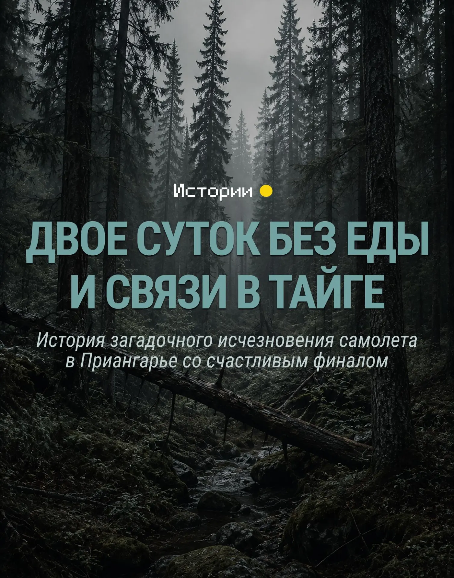 После исчезновения самолета двое суток продолжались поиски в тайге Иркутской области, пока экипаж не вышел на связь 5 августа.