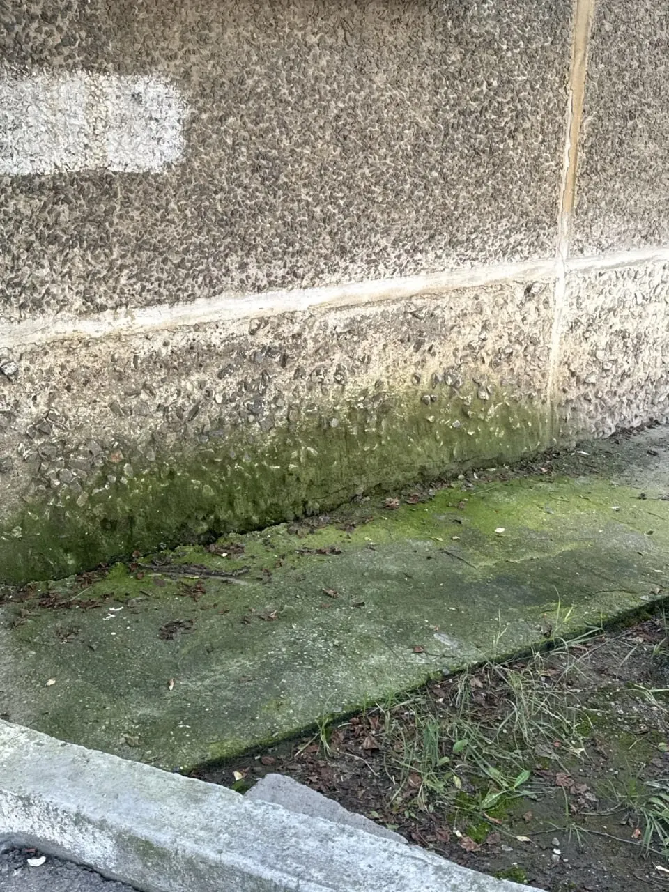 Жители рассказали о затоплении дворов после дождей: вода в подвалах, перебои с электричеством и неприятные запахи, проблема длится десятилетиями.