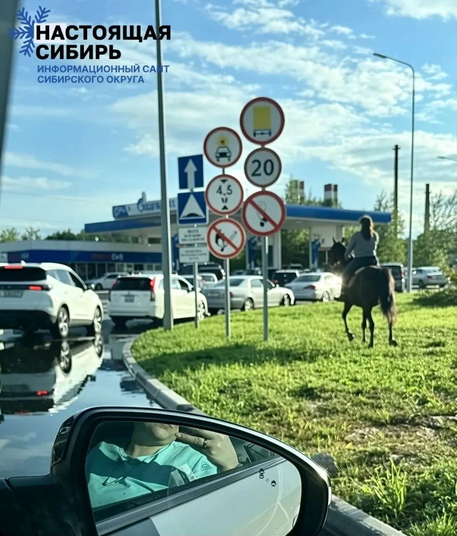 Очевидцы на Советском шоссе зафиксировали на заправке неожиданного гостя: мужчина приехал верхом на лошади, что стало предметом обсуждений в соцсетях.