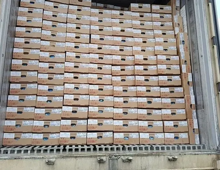 Во Вьетнам отправлены две партии куриных лапок весом около 54 тонн; груз прошёл проверку Россельхознадзора и оформлены ветеринарные сертификаты.