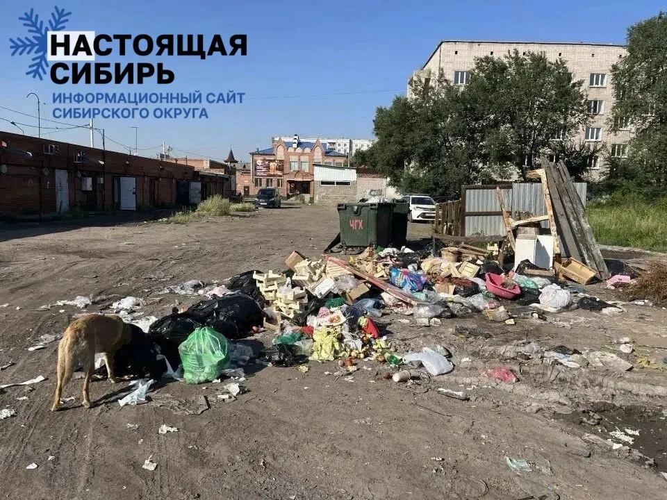 Горожане требуют немедленных мер: мусор возле центрального рынка вызывает зловоние и тревогу жителей.