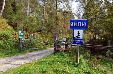 Заповедник запретил посещение села Яйлю для людей, не проживающих там, из-за появления медведей в охраняемой зоне.