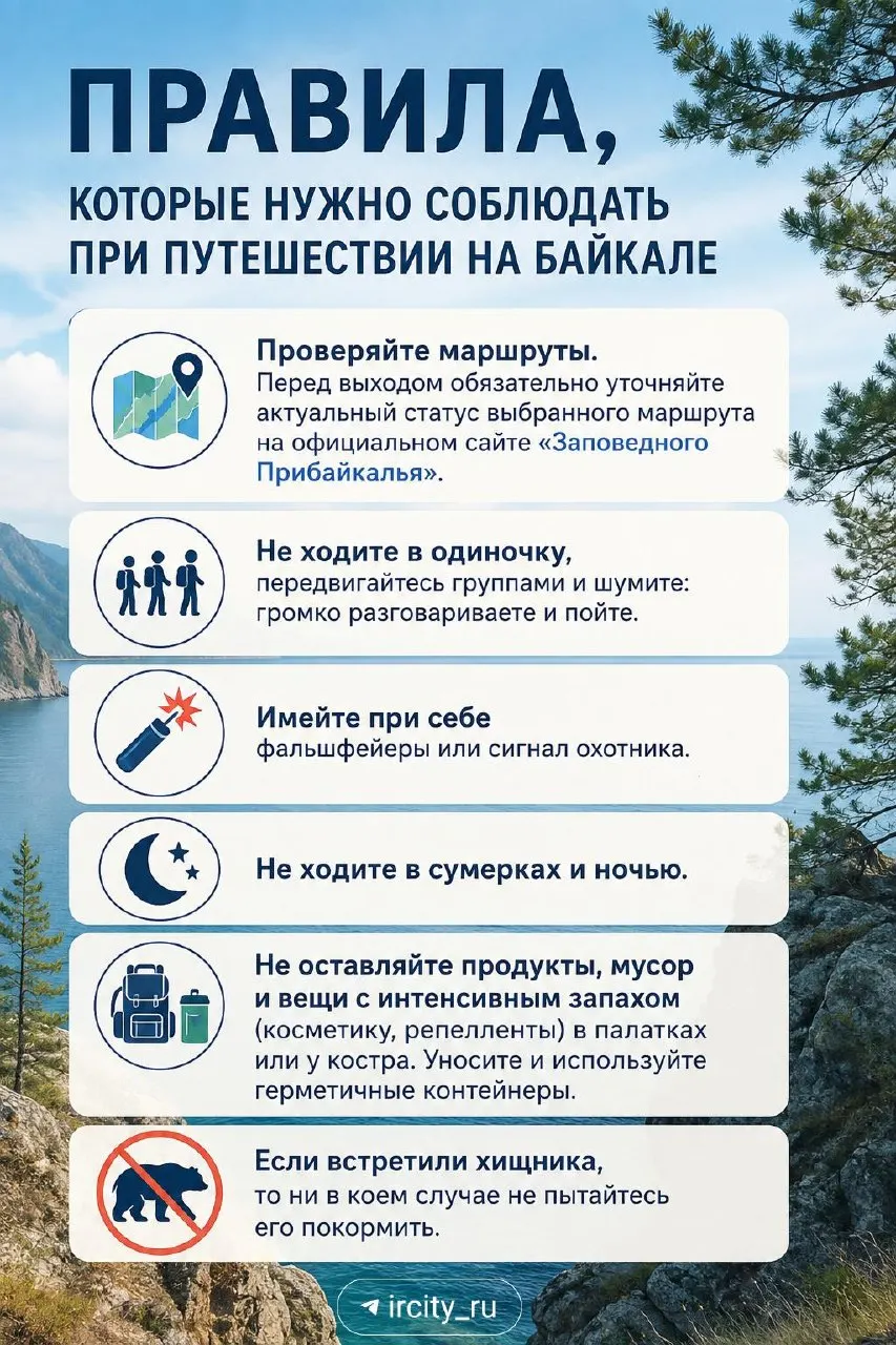 За четыре дня зафиксировано шесть встреч медведей с людьми вокруг Байкала; службы усиливают патрули и призывают соблюдать безопасность.