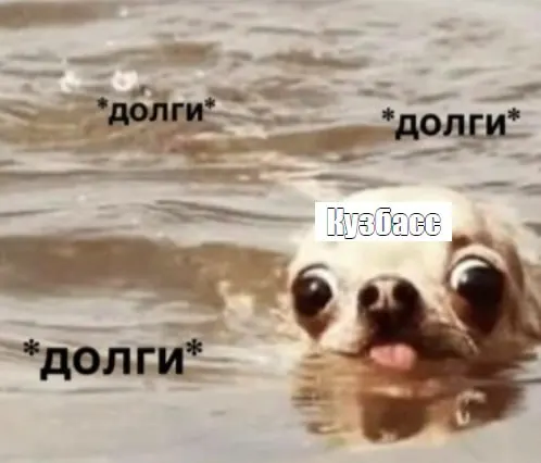 Кузбасс вновь увеличил госдолг: на начало августа он приблизился к росту на 1 млрд рублей после двух месяцев затишья; ранее долг снизили на 16 млрд рублей в мае.