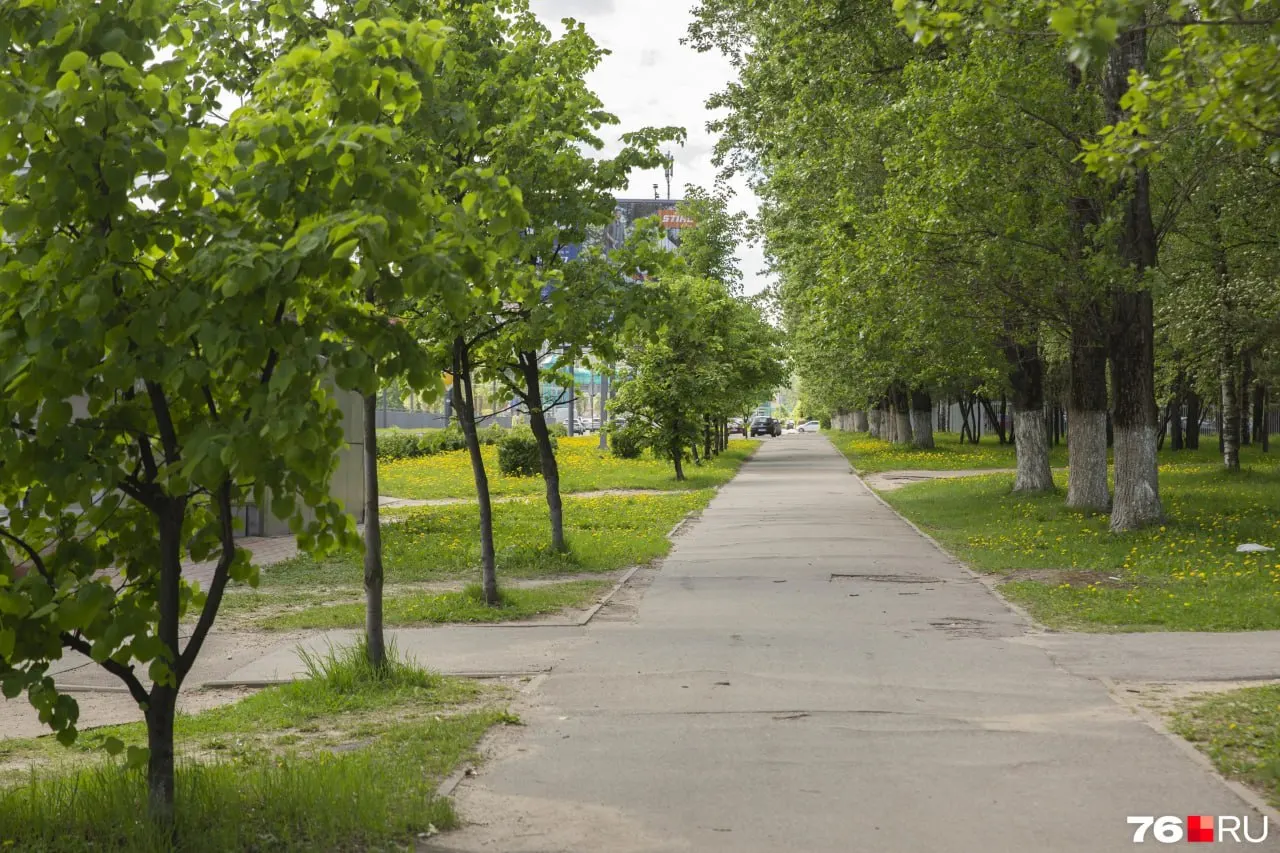 Местные жители опасаются, что сквер Ермакова в центре города исчезнет, связывая угрозу с действиями питерской компании и выделением средств из бюджета.