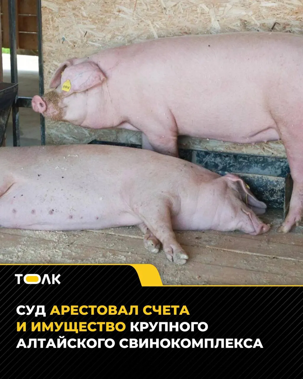 Арбитражный суд Алтайского края арестовал счета, оборудование и здание на площадке в Тальменском районе в рамках требования о погашении долга в 38,6 млн рублей.