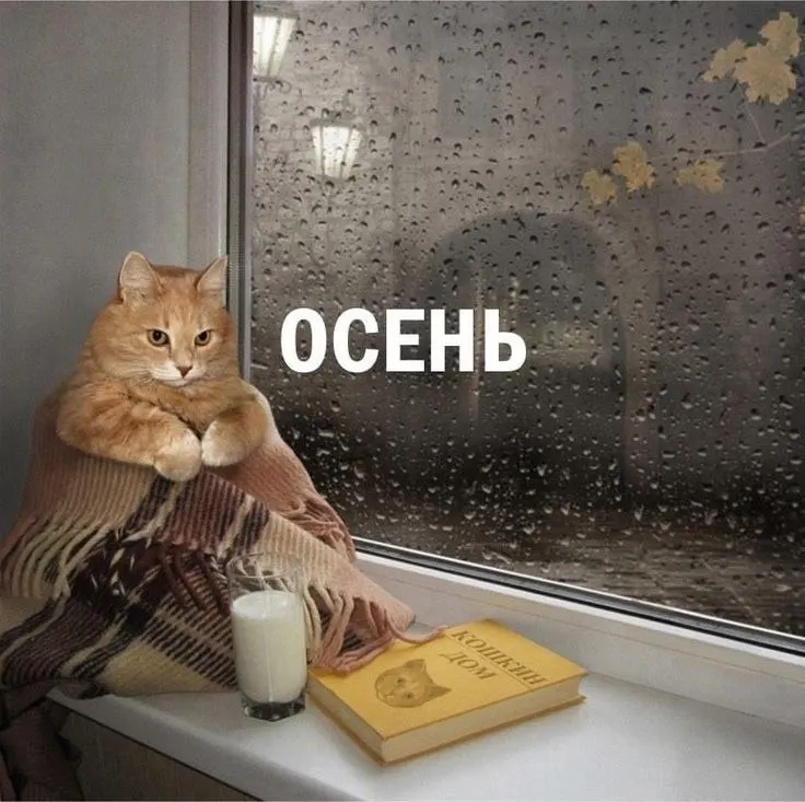По прогнозу Росгидромета, в сентябре—ноябре средняя месячная температура в Омской области отклонится от климатической нормы не более чем на 1°.