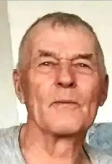 84-летний Константин Солодилов исчез во время прогулки с собакой в поселке Золотореченск Оловяннинского округа; родственники и местные жители ежедневно прочёсывают окрестности, помощь оказывают спасатели и МЧС.