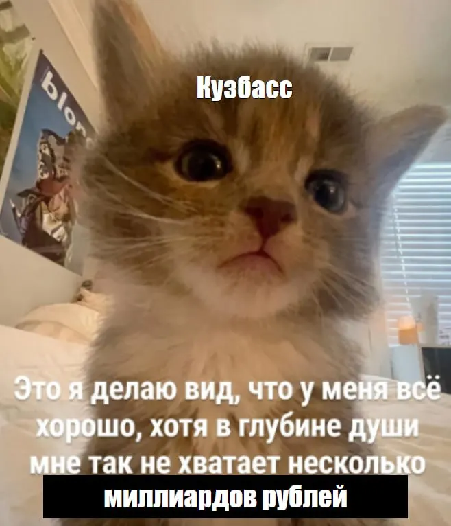 За первое полугодие 2026 года доходы региона составили около 87,9 млрд рублей, расходы — 112,2 млрд, что привело к рекордному дефициту.