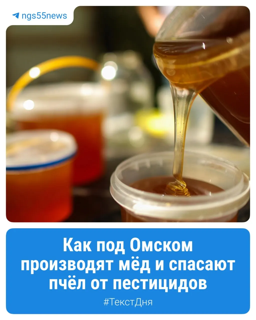 Ульи на окраине лесов сталкиваются с угрозой химической обработки полей; как устроена местная пасека — в материале.