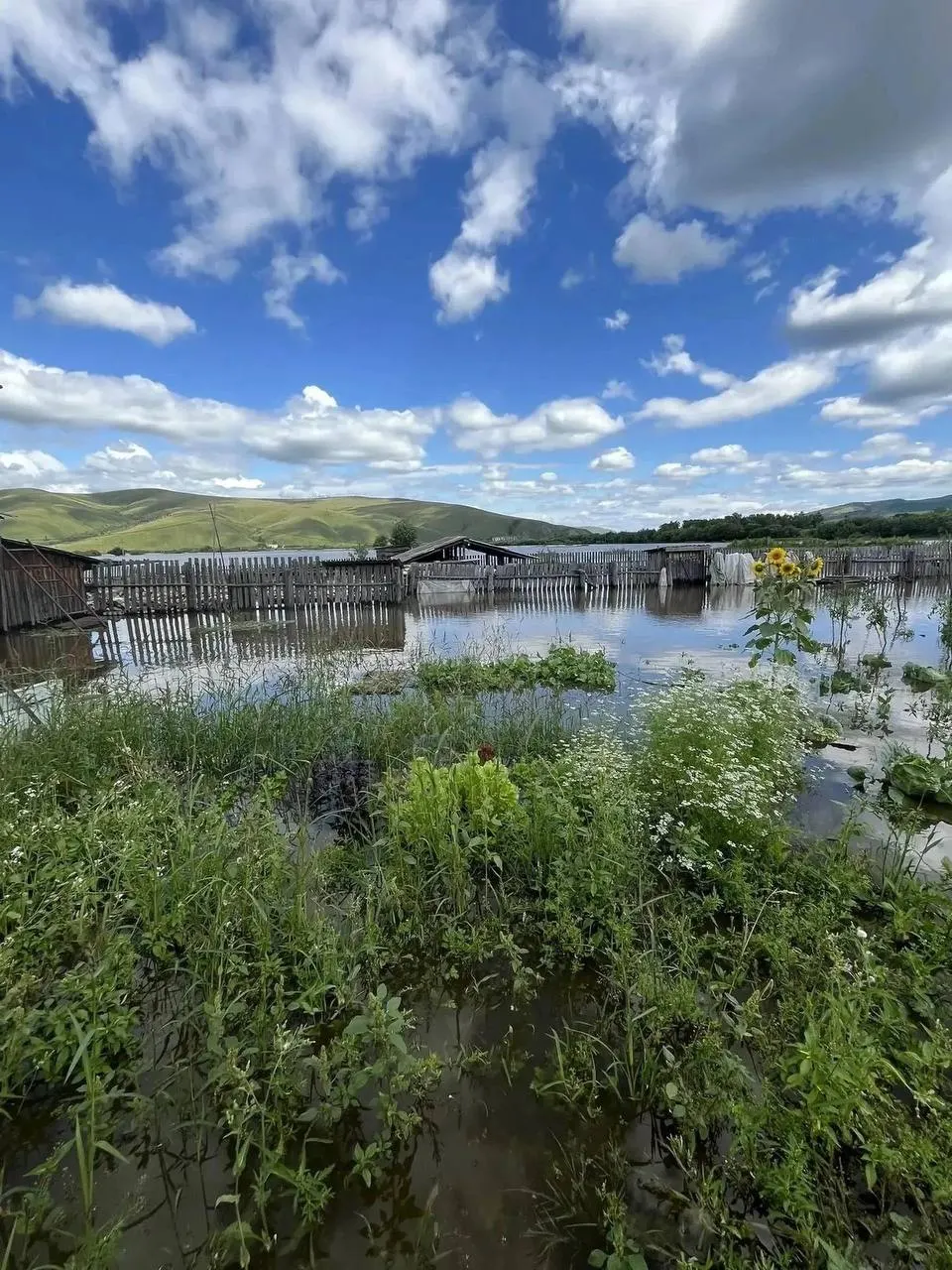 Вода затопила около 13 участков; жители жалуются на отсутствие помощи и слабую реакцию властей.