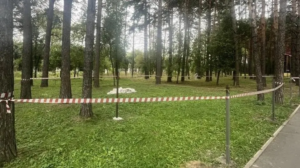 Новый контактный зоопарк появится в парке, где дети смогут кормить животных и наблюдать за ними. Представители дирекции городских парков заверили, что с деревьями всё будет в порядке.