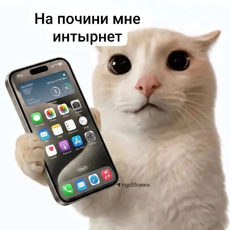 Региональный провайдер сообщил о кибератаке типа DDoS: недоступны сайт и личный кабинет, возможны перебои в телефонии и загрузке контента.