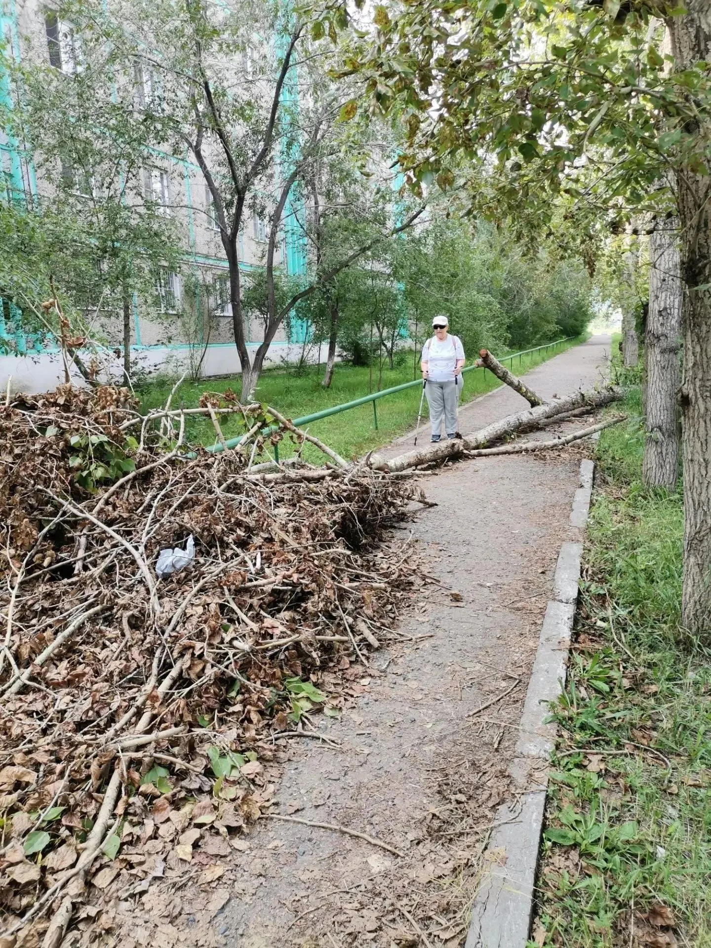 Упавшее дерево перекрыло путь к магазинам, уборка задерживается, несмотря на жалобы местных.