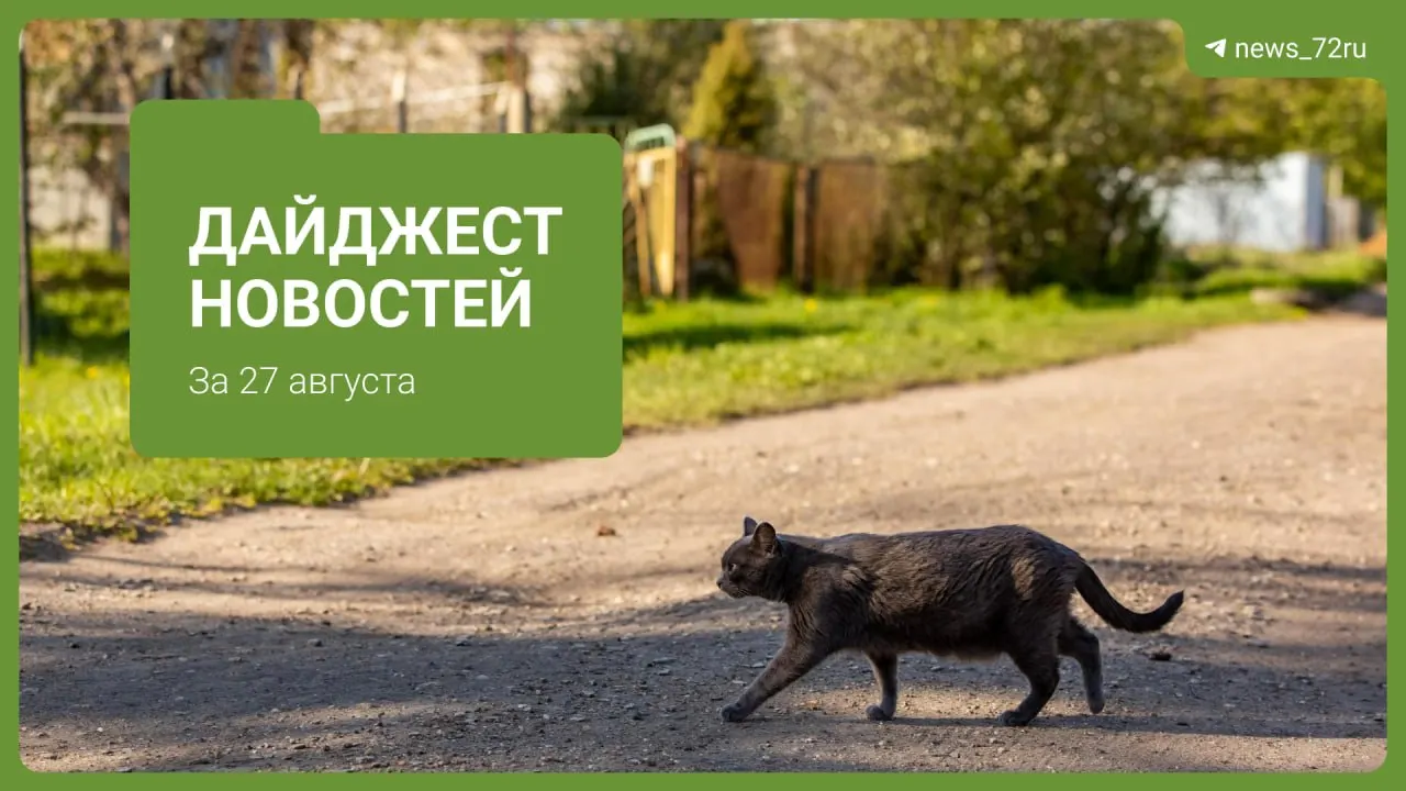 Рост цен на бензин в Тюменской области, сводка инцидентов и региональные новости.