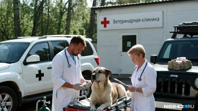 Коллектив ветстанции поддерживает руководство после инцидента, власти региона проводят расследование конфликта между управлением ветеринарии и учреждением.