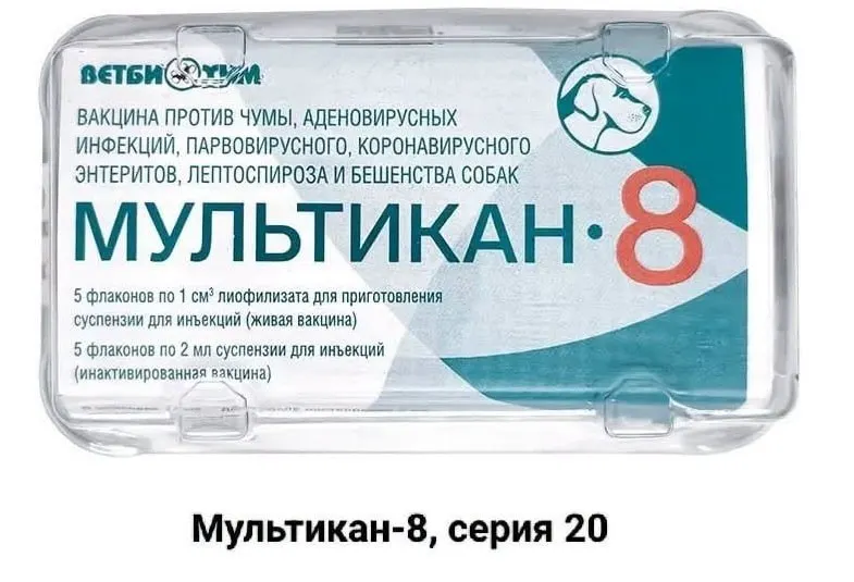 После гибели сотен собак после вакцинации препаратом «Мультикан-8» владельцы требуют огласки и расследования, возможны нарушения в производстве.