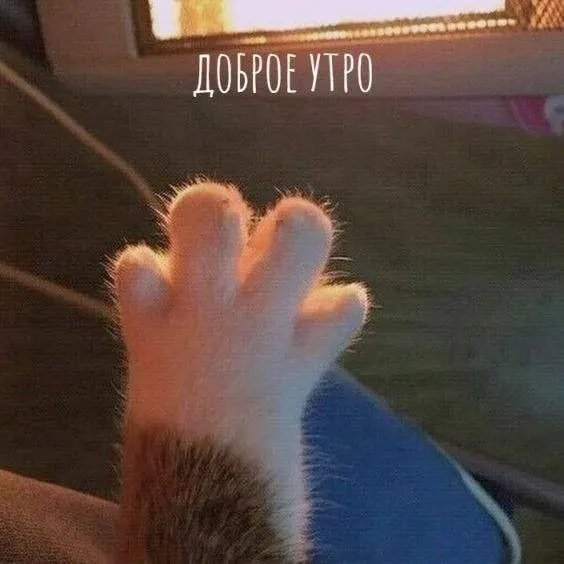 Утро будет солнечным и тёплым — около +28°C, а днём и вечером прогнозируют кратковременные дожди при сохраняющейся духоте до +30°C.