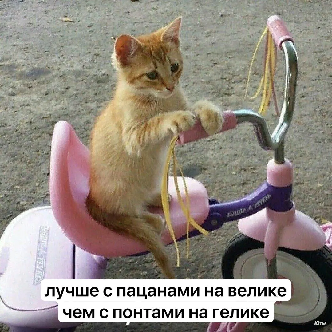 В Ангарске состоится соревнование «ТЕМЕРСО ВелоБАМ 2026» — более 700 участников уже заявились, осталось 80 мест. Дистанции варьируются от 700 метров до 60 километров; победители получат медали, призовой фонд — 196 тысяч рублей.