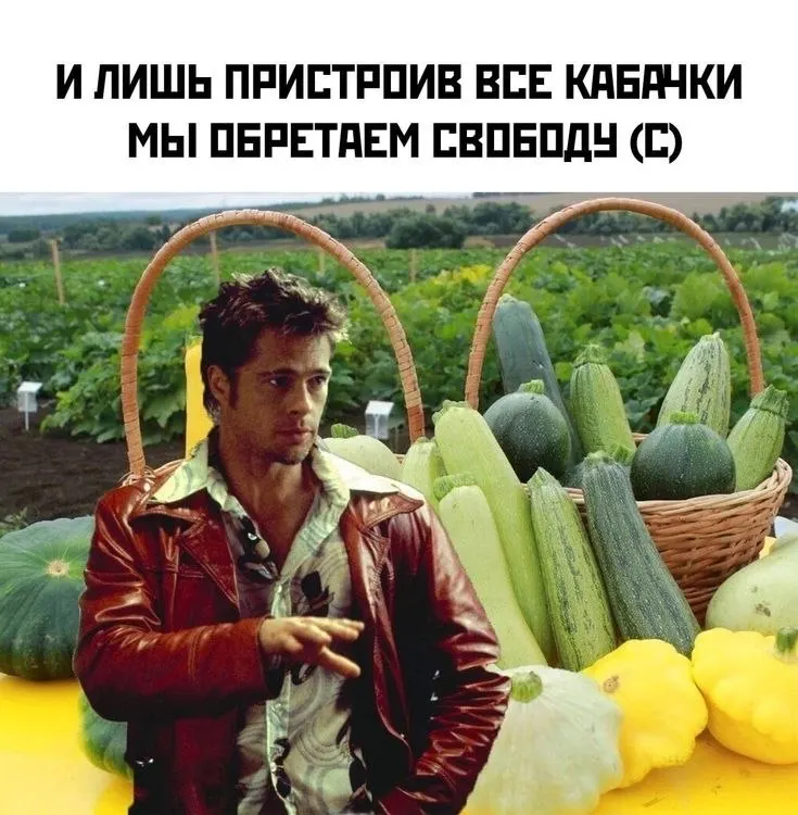 Зоопарк принимает свежие овощи и фрукты до октября; прошлогодний сбор превысил 25 тонн.