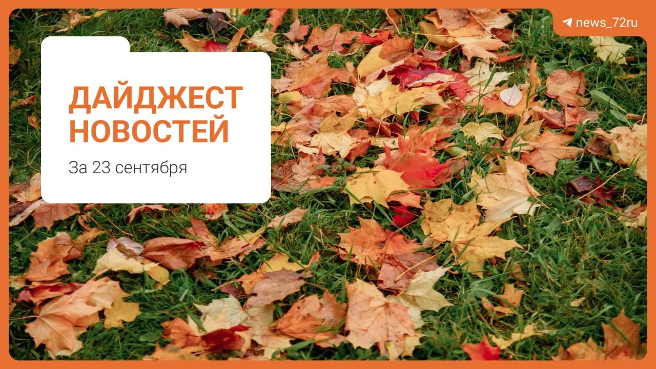 Сегодня в регионе произошли городские происшествия, общественные и социальные события: от инцидентов на улицах до новостей о правопорядке и образовании.