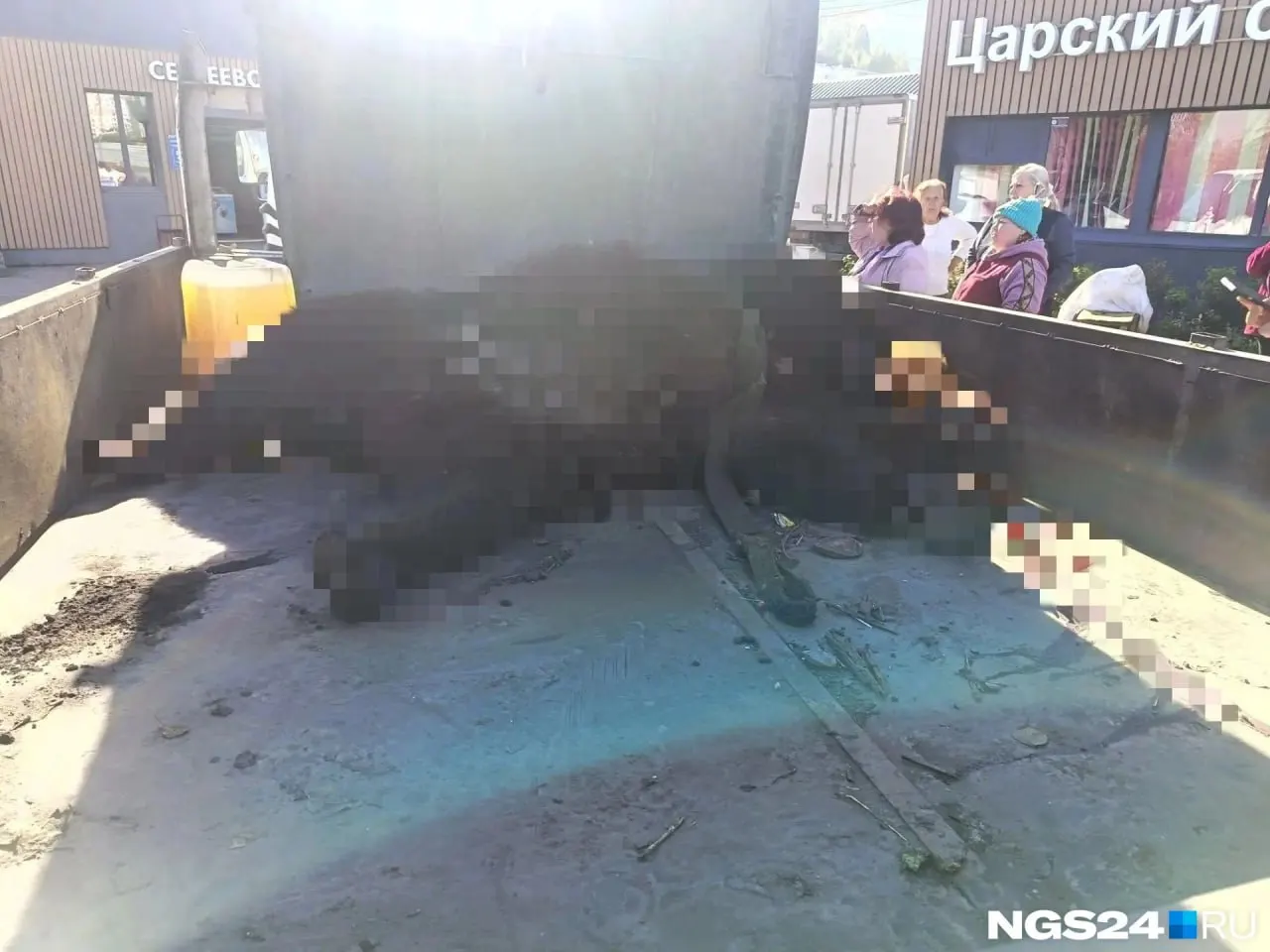 Фото медведя, застреленного поблизости от школы, распространилось в школьных чатах; полиция пояснила обстоятельства происшествия и порядок транспортировки туши.
