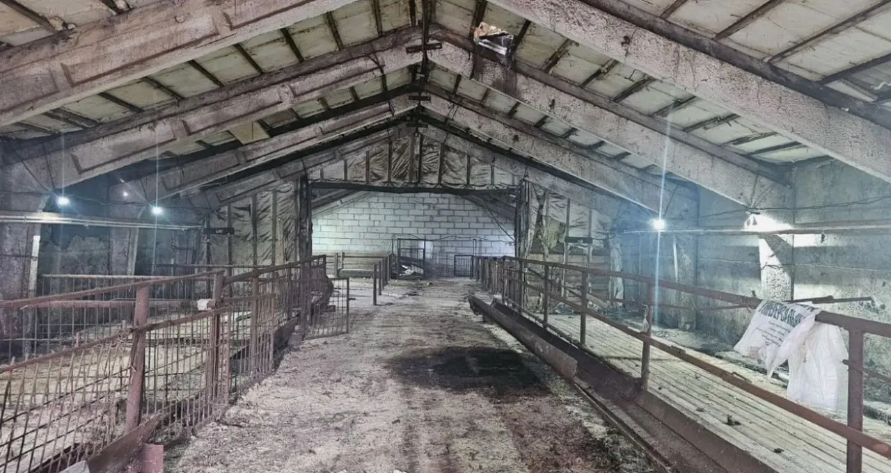 Владелец выставил на продажу ферму в селе Красная Горка, Омский район. В составе: два земельных участка по 15 соток, жилой дом, баня и коровник; у объекта есть газ, скважина и водоснабжение в коровник.