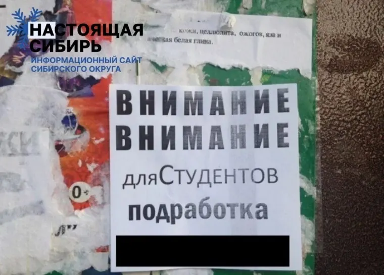 Во втором квартале 2026 года Алтайский край и Республика Алтай оказались среди регионов с наибольшей длительностью поиска работы; Новосибирская область держится в середине рейтинга.