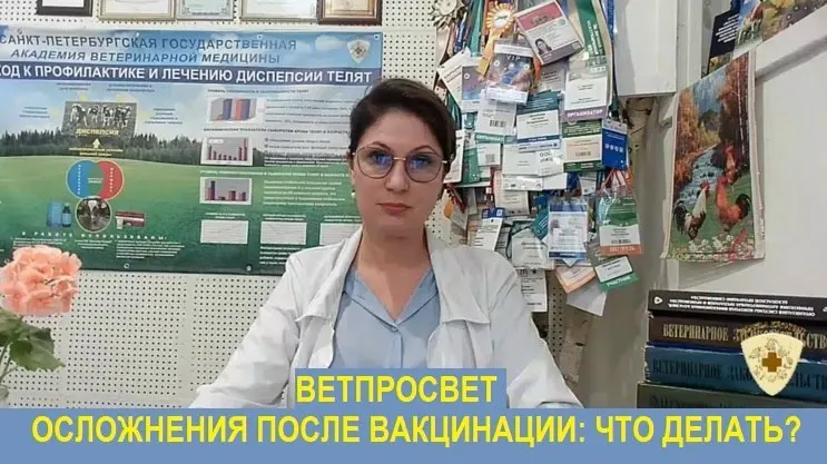 Врач-эпизоотолог Светлана Щепёткина заявила о давлении на неё после публикации официальных инструкций для владельцев животных по реакции на вакцину Мультикан-8.
