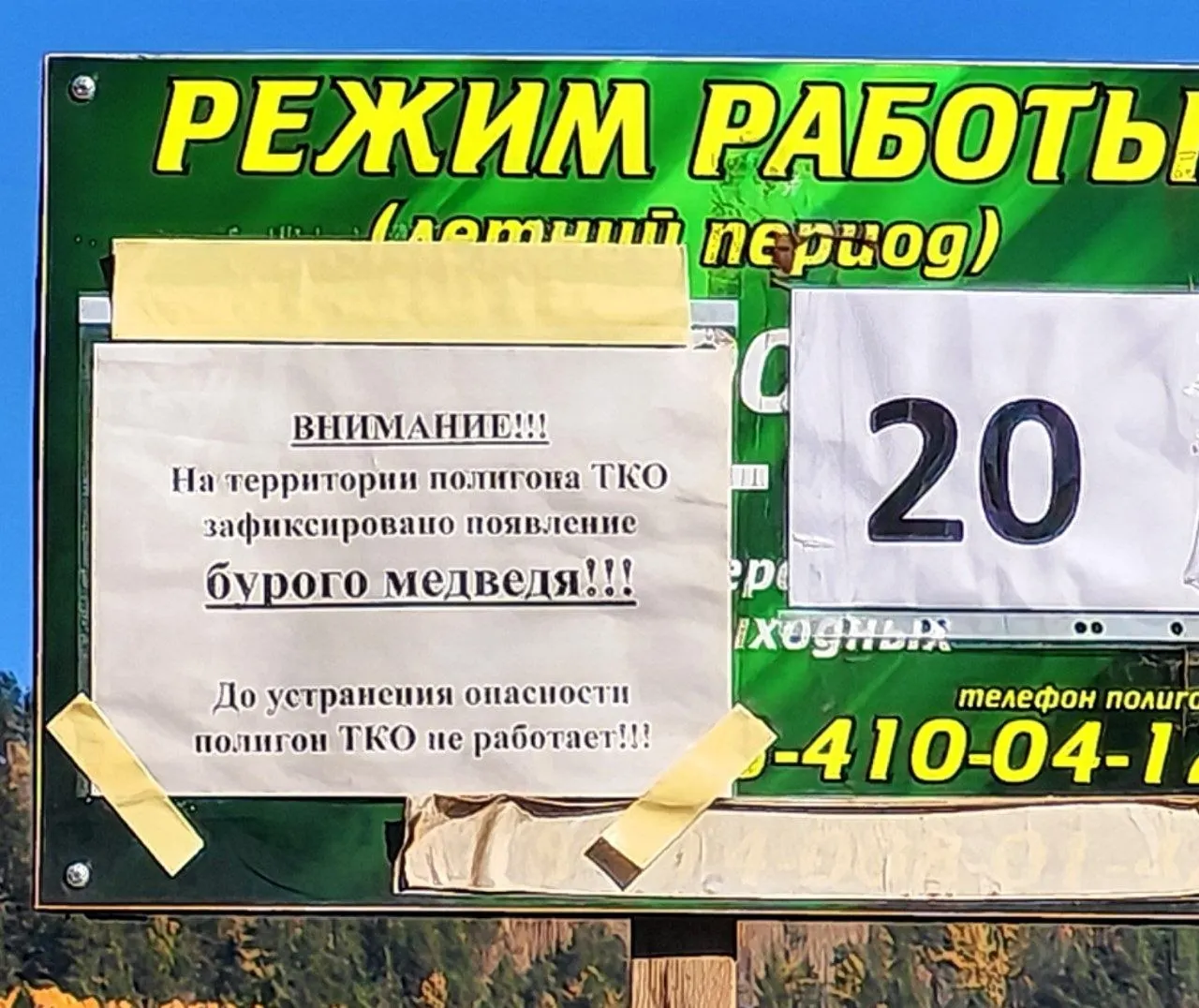 Из‑за появления медведя на мусорном полигоне в Братске ограничено его обслуживание; в регионе введён режим повышенной готовности.