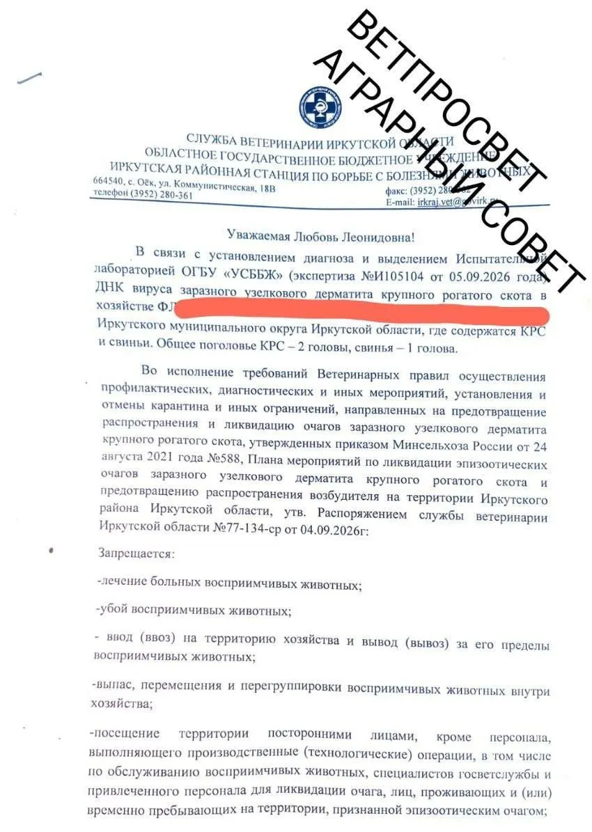 Жители деревни Коты требуют разъяснений по статусу и основаниям для изъятия и убоя скота; за процесс отвечает начальник управления сельского хозяйства Иркутского района.