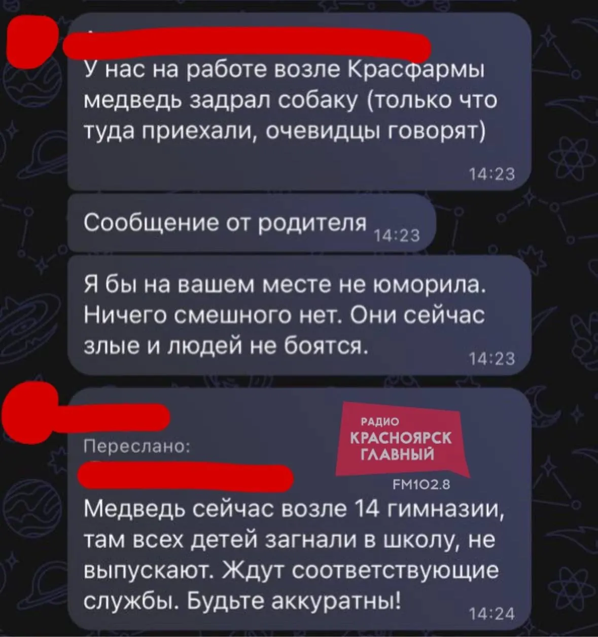 Хищник замечен возле гимназии на Лесопильщиков и возле остановки на Саянской; школьники остаются внутри здания.