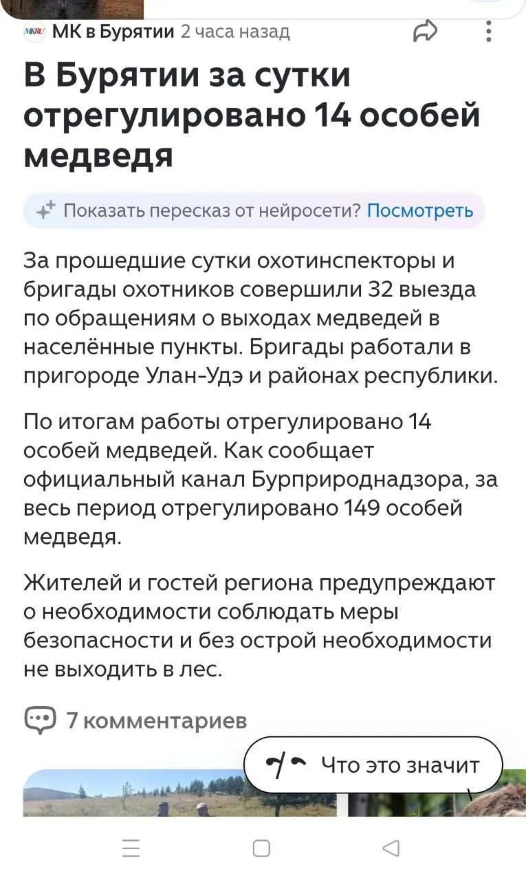 В Закаменске из-за появления медведя в черте города две школы и техникум переведены на дистанционный формат обучения.