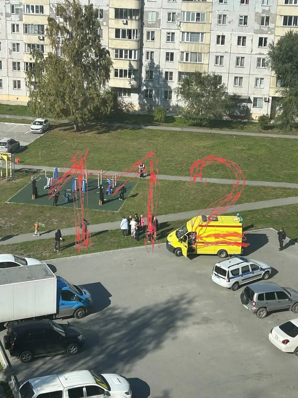 Пострадавшие — 11 и 4 года; нападавшая задержана; официальных комментариев пока нет.
