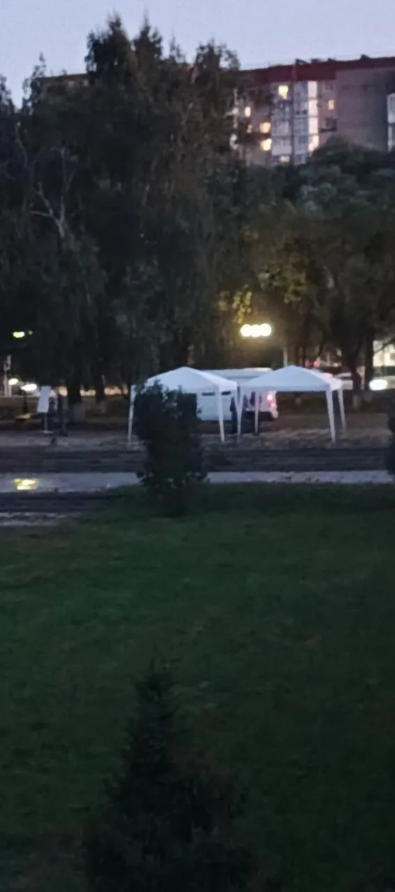 Во время подготовки обновлённого пространства у Лебединого озера мостик ремонтировали: плитку сняли с соседней дорожки, дорожка частично разобрана.
