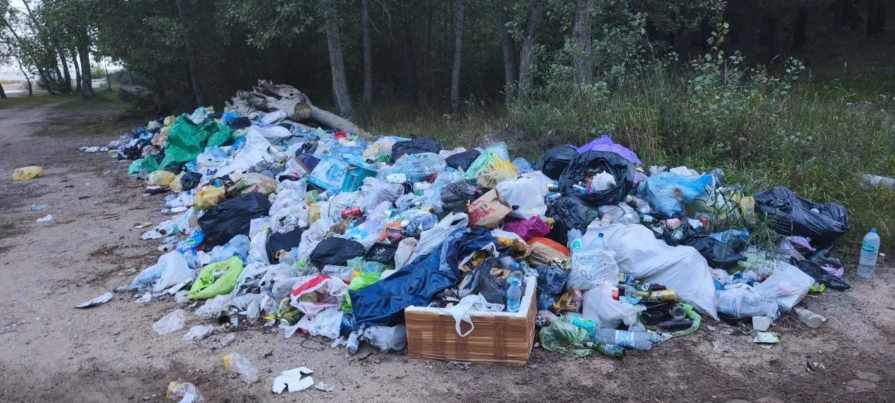Завалы мусора вдоль береговой линии Обского водохранилища в Чемском бору требуют реакции властей; депутат призывает привлечь профильные службы и усилить контроль.