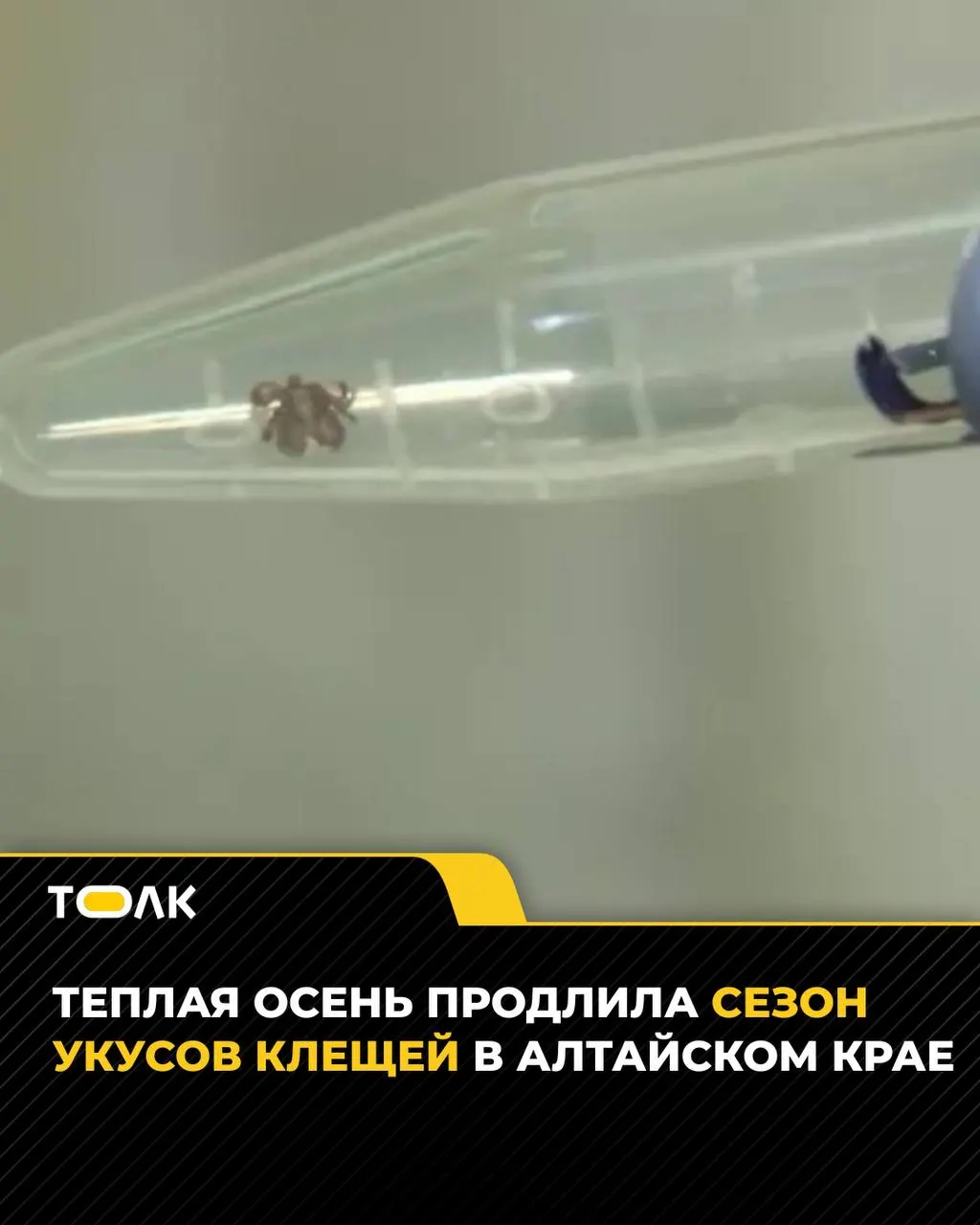 За сезон обратились к медикам примерно 7,3 тысячи жителей региона; за последнюю неделю зафиксировано 78 новых случаев. Врачи призывают соблюдать осторожность.