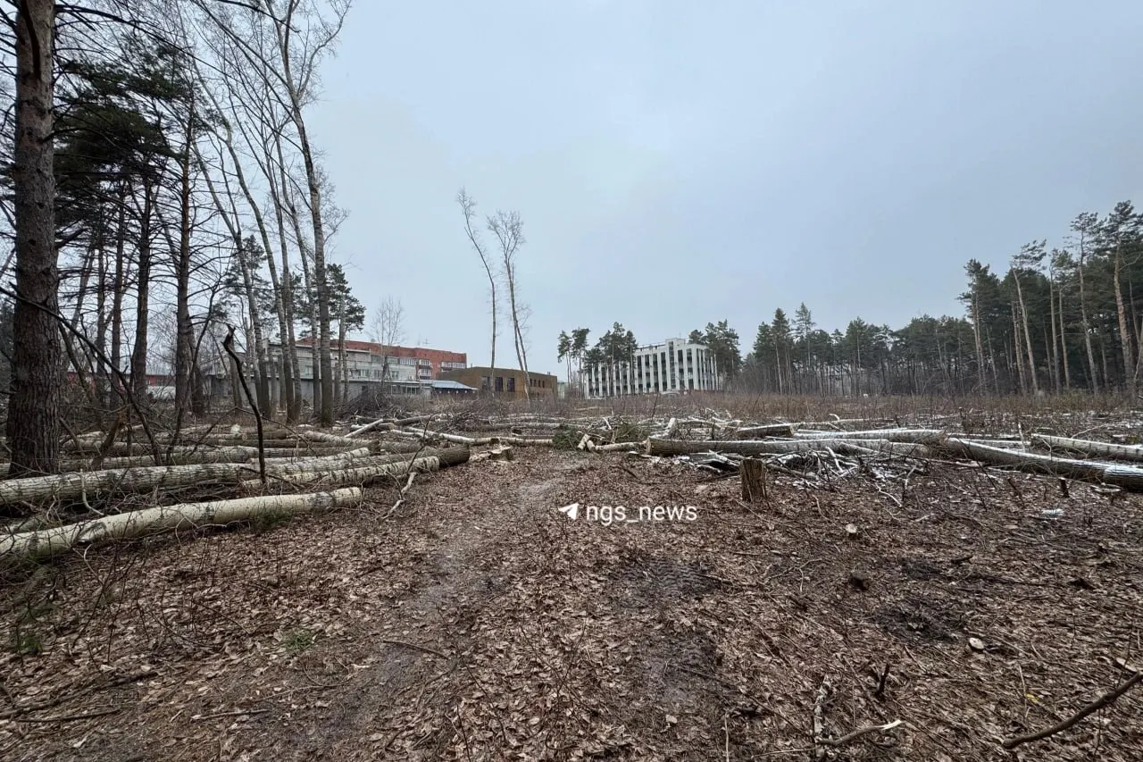 «Альфа» получил право застройки и намерен возвести жилой комплекс, обязавшись вложить 750 млн рублей и передать не менее 693 кв. м жилья детям-сиротам.